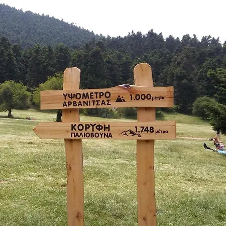 Dianthos * Kiriákion